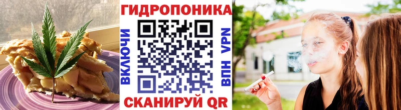 Canna-Cookies марихуана  Купить закладки  Новый Уренгой 