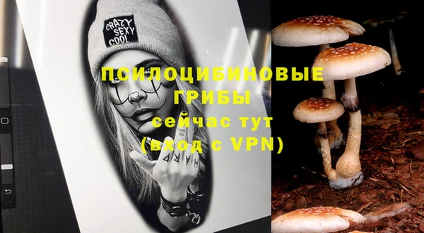 бутират Ельня